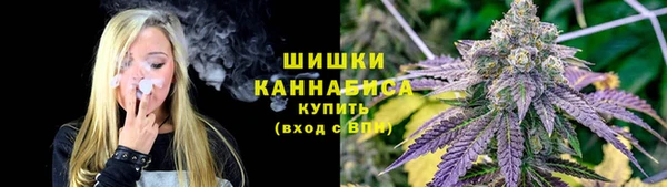 соль ск Пестово