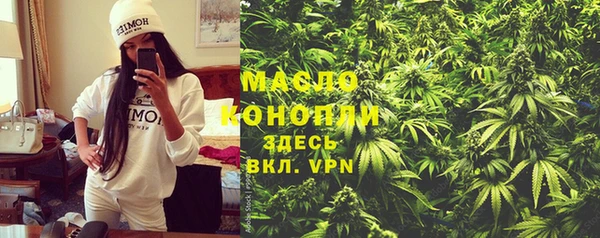 прущие грибы Переславль-Залесский