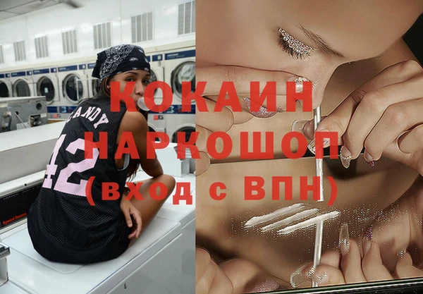 прущие грибы Переславль-Залесский