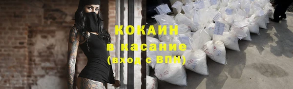 прущие грибы Переславль-Залесский