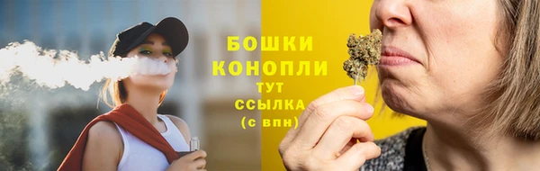 прущие грибы Переславль-Залесский