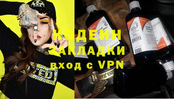 прущие грибы Переславль-Залесский