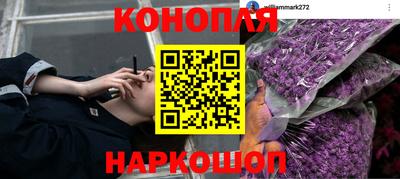 прущая мука Жуковский