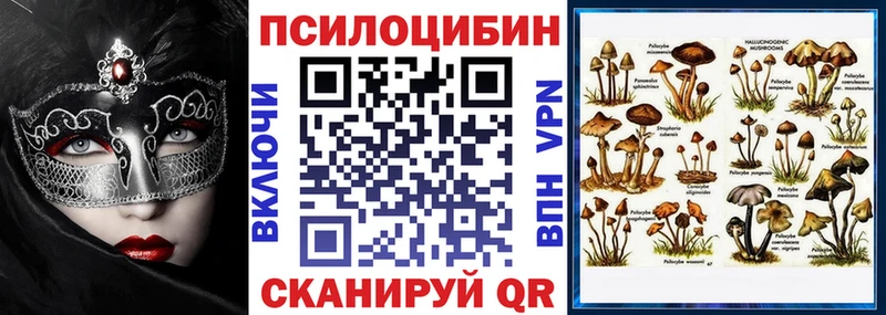 Псилоцибиновые грибы Psilocybe  Котлас 