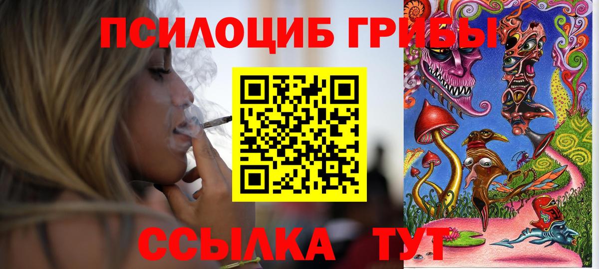 Котлас  Псилоцибиновые грибы мухоморы  Вход с VPN  Псилоцибиновые грибы MAGIC MUSHROOMS 